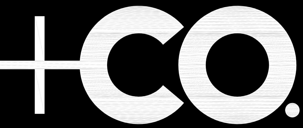 light logo